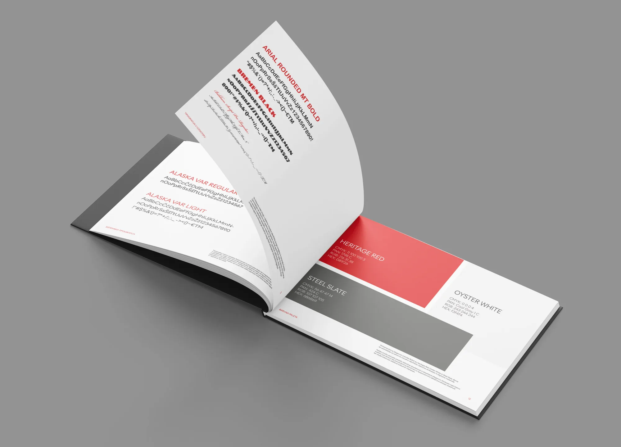Guidelines — systematic typography and the colour palette